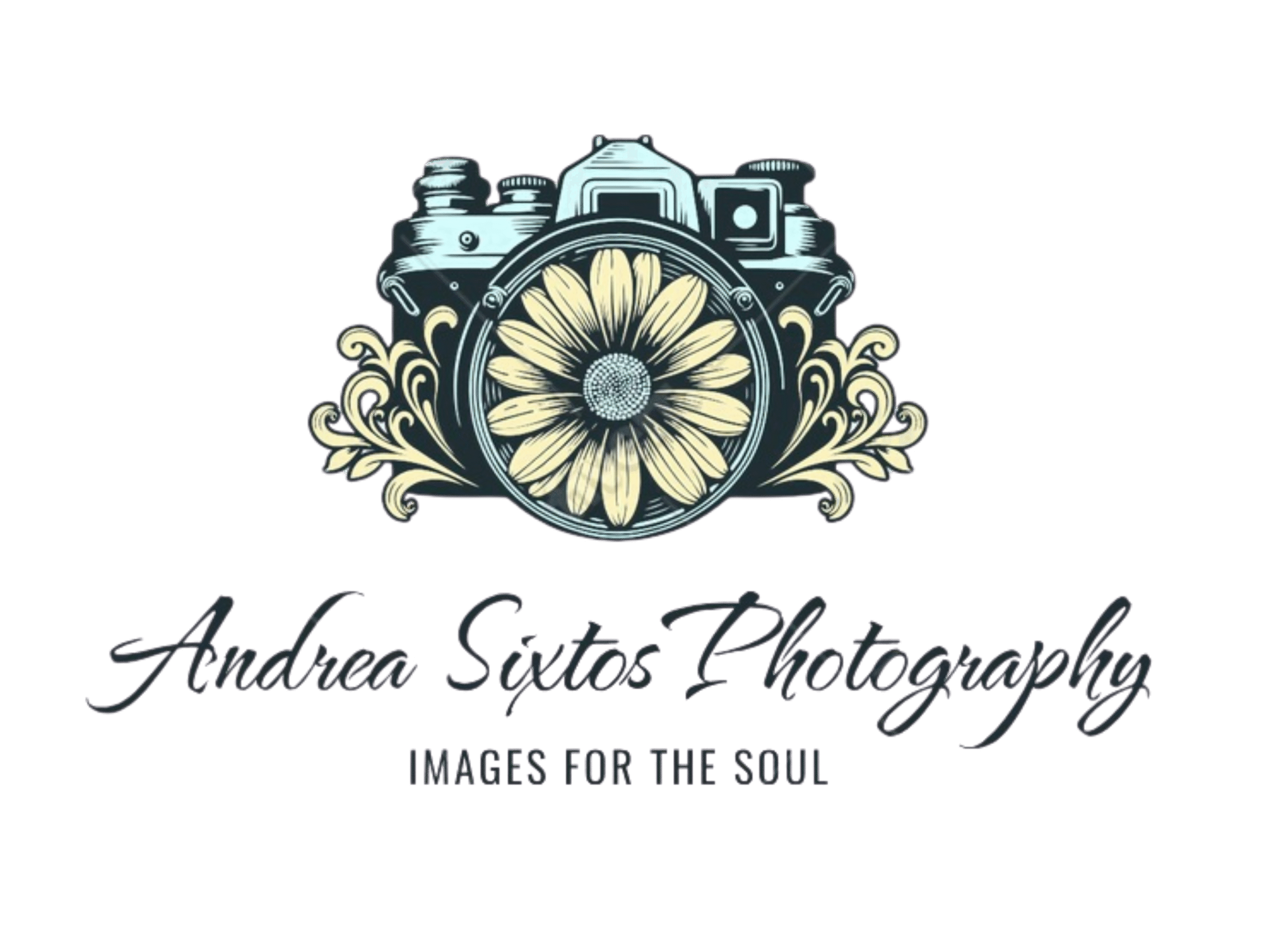 photographer in los angeles | headshot photographer in los angeles | family photographer in los angeles